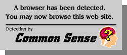 AnyBrowser ads